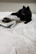 Nina ümmargune vaip Elutoamööbel Homewell 22