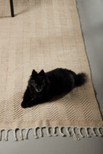 Loke vaip Elutoamööbel Homewell 22