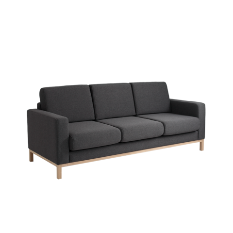 3kohaline diivanvoodi SCANDIC süsinikkiust (et95) naturaalne Diivanvoodid