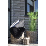 Caor korvid, kubu rotangist, naturaalne, komplektis 4 Esik ja Garderoob Homewell 11