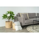 Passo korvid, vesihüatsint, loodus, 2 tk komplekt Esik ja Garderoob Homewell 8