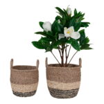 Lima korvid, mererohi, naturaalne/pruun/must, 2 tk komplekt Esik ja Garderoob Homewell 8