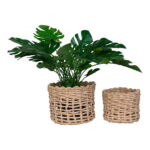 Penela korvid, paberist, naturaalsed, 2 tk komplekt Esik ja Garderoob Homewell 8