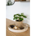 Penela korvid, paberist, naturaalsed, 2 tk komplekt Esik ja Garderoob Homewell 10