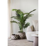 Altea korvid, banaanileht, naturaalne/valge, 2 tk komplekt Esik ja Garderoob