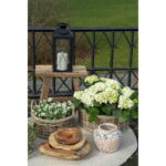 Rio kauss, tiikpuu, naturaalne, ø40×12 Sisustus