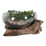 San Marino veepiisk, tiikpuu/klaas, naturaalne, kõrgus 20 cm Sisustus