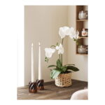 Küünlahoidja küünlajalg, klaas, suitsupruun, 2 tk komplekt Sisustus