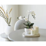 Salv kandik, tsement, beež, 35x30x2,5 cm Sisustus