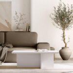 Kohvilaud ASH ristkülikukujuline kašmiir Elutoamööbel Homewell 11