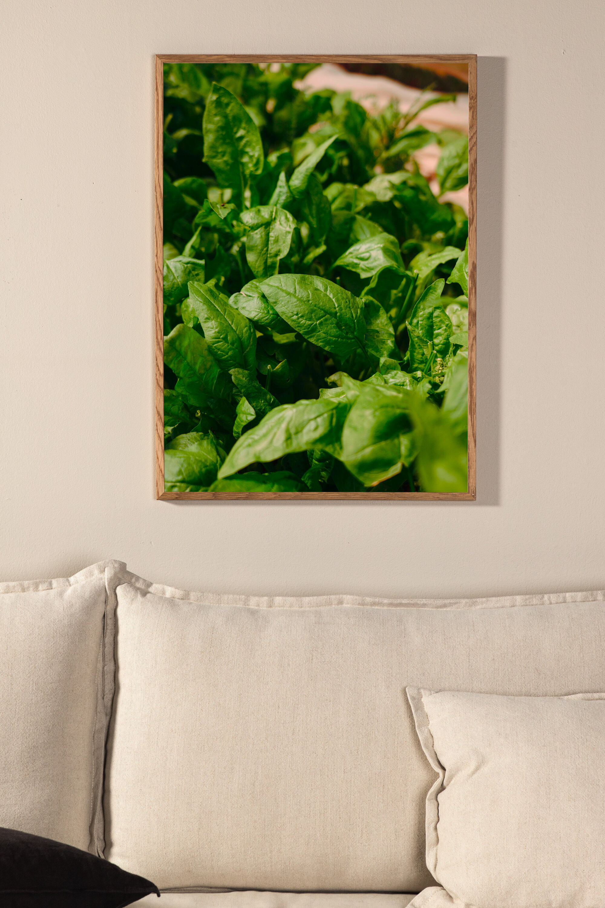Gree leaf plakat Siseruumid Homewell