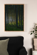 Woodsi plakat Siseruumid Homewell 3