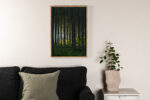 Woodsi plakat Siseruumid Homewell 4