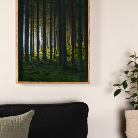 Woodsi plakat Siseruumid Homewell