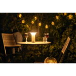 Ramsey lamp, laetav Valgustid