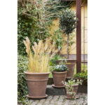 Stockporti alustass, terrakota, pruun, ø25×2 cm Aiamööbel