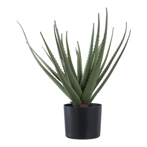 Aloe kunsttaim, roheline, kõrgus 51 cm Sisustus