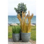 Sorgo kunsttaim, naturaalne, kõrgus 110 cm Sisustus