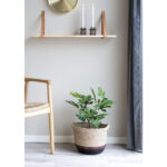 Viigipuu kunsttaim, roheline, kõrgus 60 cm Sisustus