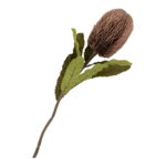 Kuningprotea kunstlilled, bordoo segu, kõrgus 65 cm Sisustus