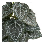 Kunstlik taim, roheline, k: 33 cm Sisustus