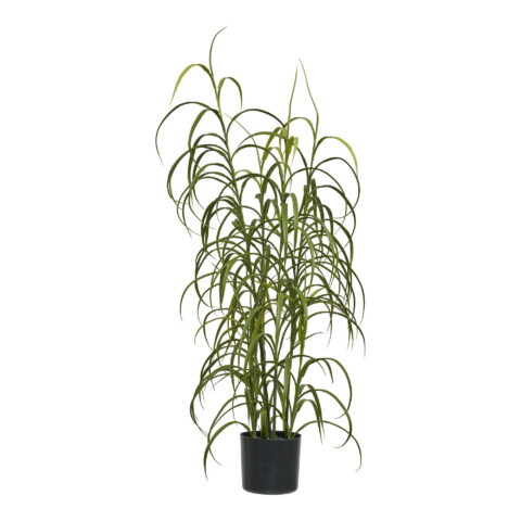 Murutaim – Taim, roheline K: 68 cm Kunsttaimed Homewell
