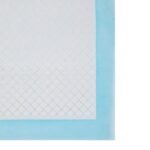 Lemmiklooma koolituspatjad 60x90x0.1cm valge,sinine Lemmikloomatarbed