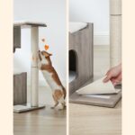 Kassipuu 66x42x88cm hall Kasside kraapimis- ja ronimispuud
