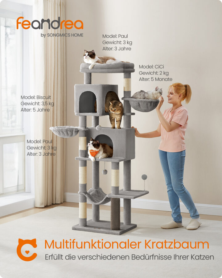 Kassipuu 69x43x178cm Kasside kraapimis- ja ronimispuud