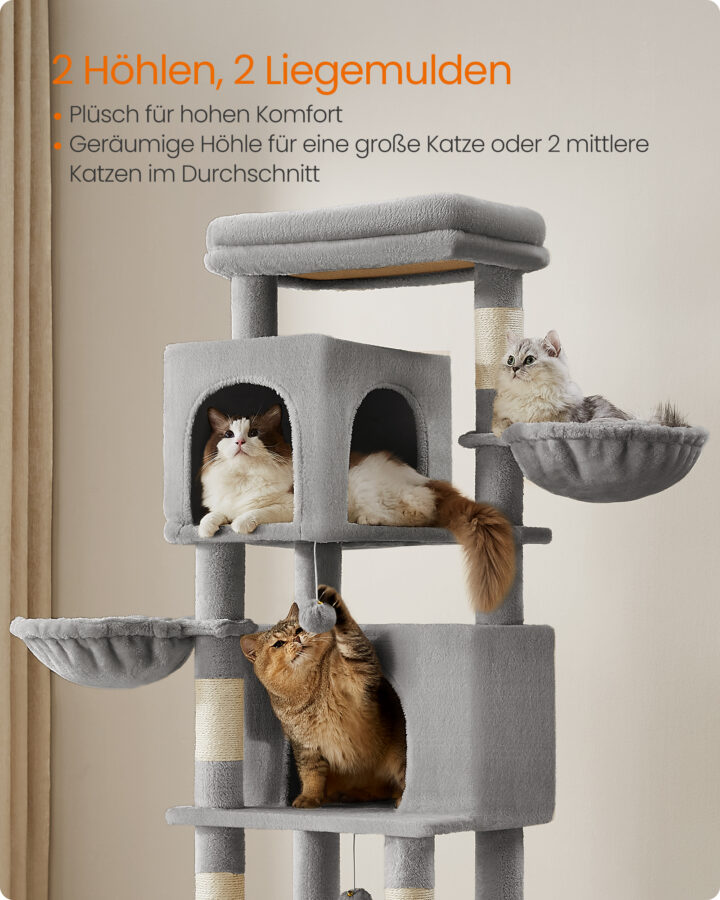 Kassipuu 69x43x178cm Kasside kraapimis- ja ronimispuud
