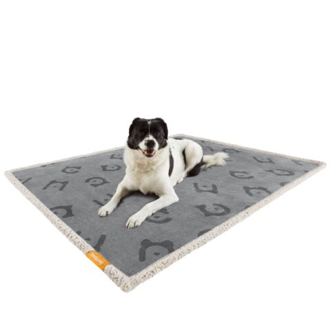 Veekindel tekk koertele Sisustus Homewell