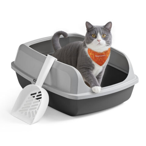 Kassiliivkast Sisustus Homewell