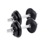 Hantlid 2x10kg 35x16x16cm must, must Hantlid ja jõupingid