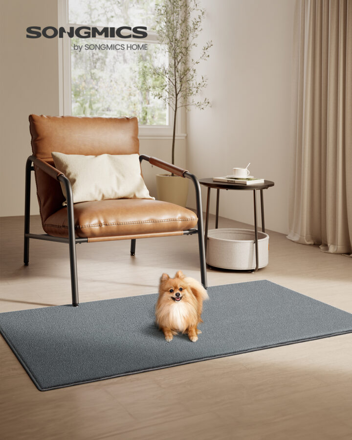 Vaip 80×150 cm hall 150x80x0.1cm Vaibad