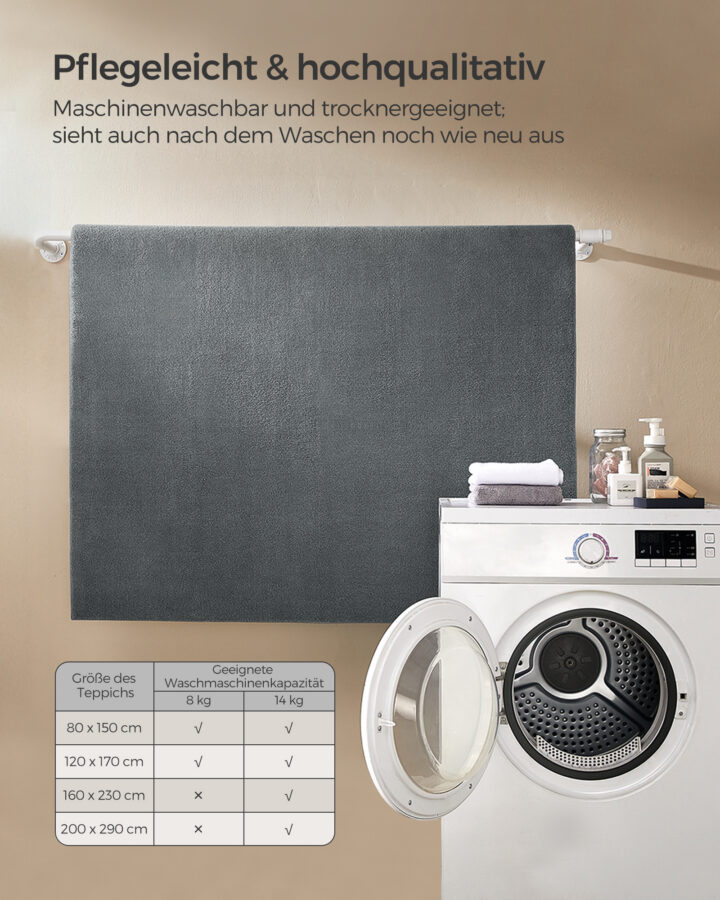 Vaip 80×150 cm hall 150x80x0.1cm Vaibad