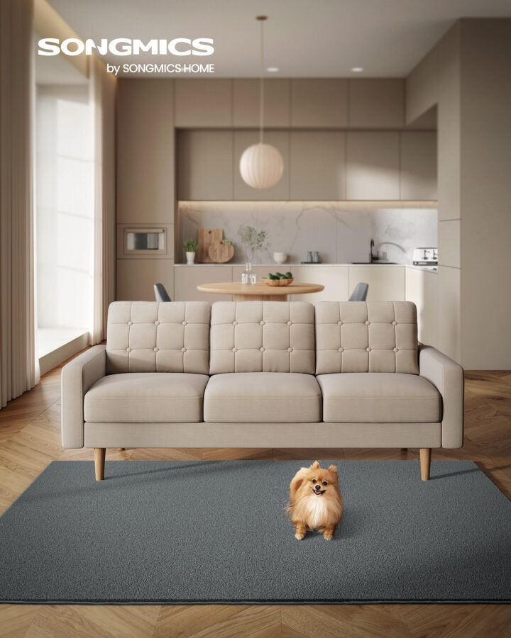 Piirkonna vaip 160×230cm hall 230x160x0.1cm Vaibad