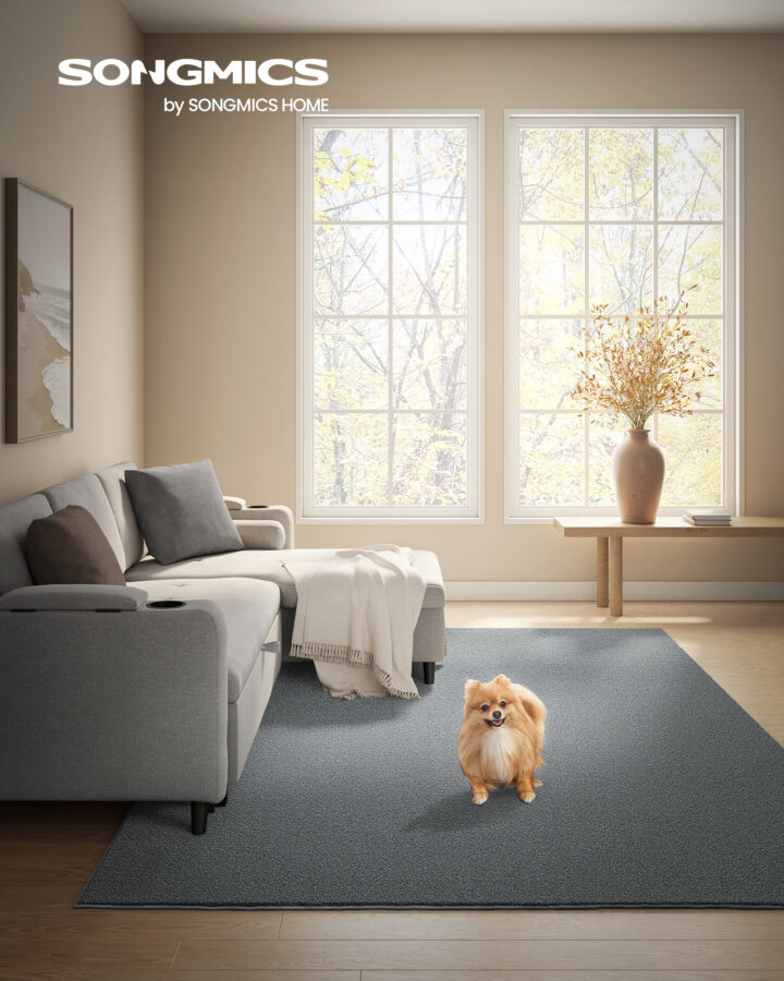Põrandavaip 200×290cm hall 290x200x0.1cm Vaibad