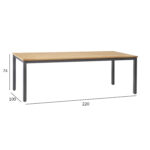 Laud MONTANA 220x100xH76cm, tiikpuu Aialauad Aialauad