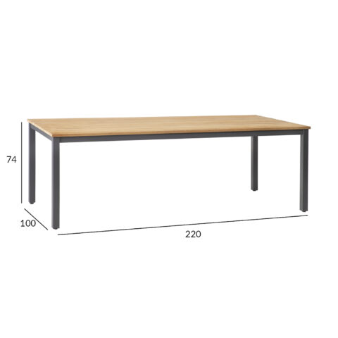 Laud MONTANA 220x100xH76cm, tiikpuu Aialauad Aialauad