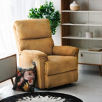 Tugitool GUSTAV manuaalne recliner 80x92xH104cm, kollane Elutoamööbel Elutuppa jõuludeks