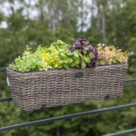 Rõdu lillekast WICKER 60x19xH18cm, tumepruun Lillepotid ja rõdukastid Garden
