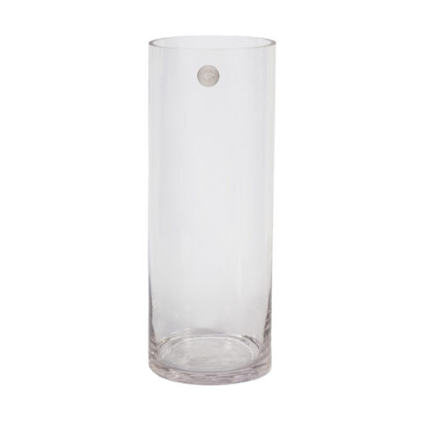 Vaas IN HOME D15xH40cm, läbipaistev klaas Klaasvaasid Klaasvaasid