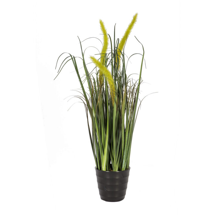 Rohukõrred potis IN GARDEN, H55cm, heleroheline Kunstlilled ja kunsttaimed IN GARDEN