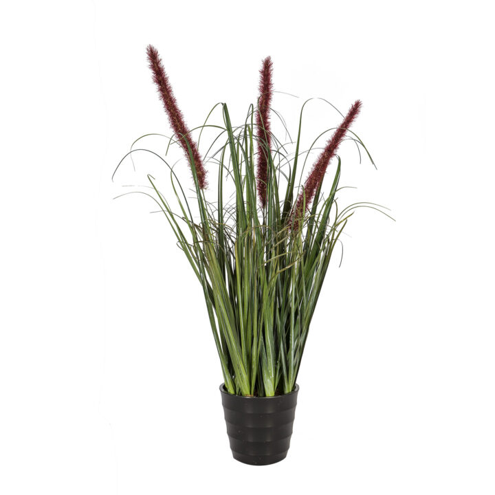 Rohukõrred potis IN GARDEN, H55cm, pruun Kunstlilled ja kunsttaimed IN GARDEN