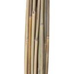 Bambuskepid taimede toestamiseks IN GARDEN H120cm 20tk D8/10mm Aiadekoratsioonid IN GARDEN