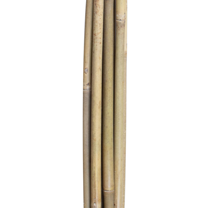 Bambuskepid taimede toestamiseks IN GARDEN H150cm 10tk D10/12mm Aiadekoratsioonid IN GARDEN