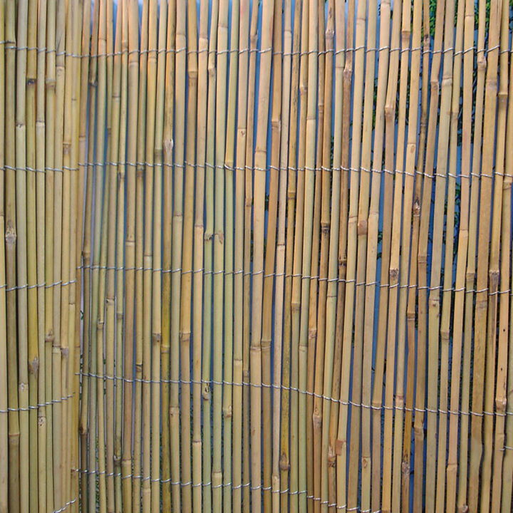 Rull bambusaed IN GARDEN, 1.5x5m, naturaalne bambus D8/10mm Aiadekoratsioonid Garden