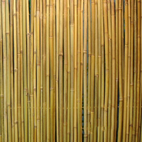 Rull bambusaed IN GARDEN, 1.5x3m, naturaalne bambus D14/16mm, ühendustraat läbi bambuse Aiadekoratsioonid Garden