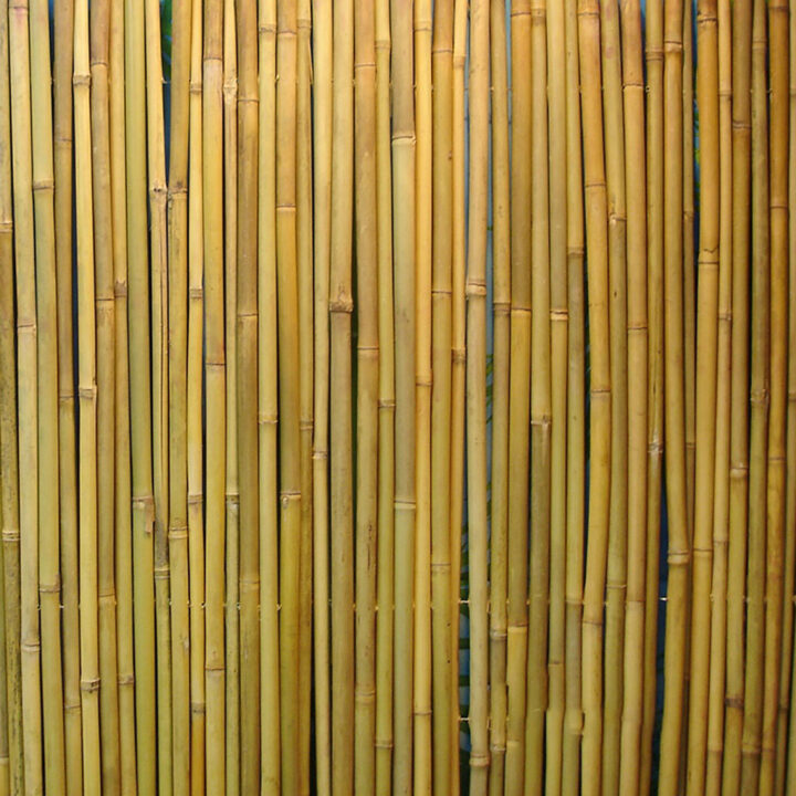 Rull bambusaed IN GARDEN, 1.5x3m, naturaalne bambus D14/16mm, ühendustraat läbi bambuse Aiadekoratsioonid Garden