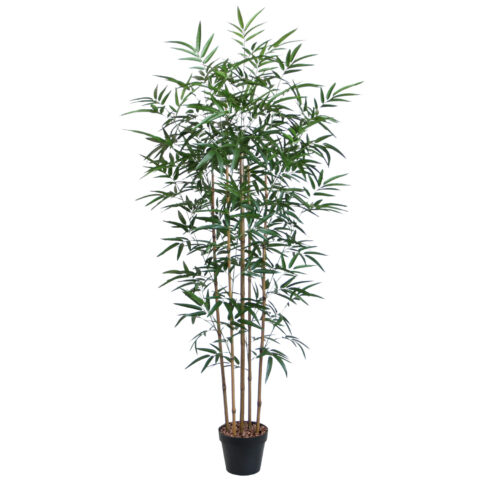 Kunstpuu BAMBOO, H150cm, 5 tüvega, must pott Kunstlilled ja kunsttaimed Kunstlilled ja kunsttaimed
